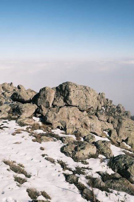 2014 honda crv manual