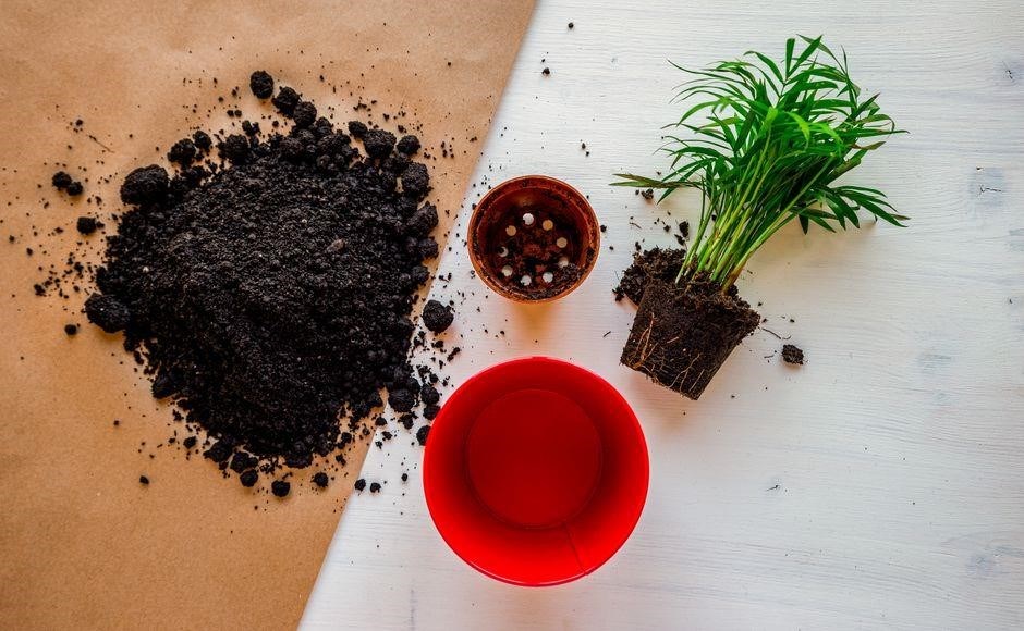 miracle-gro 4 in 1 instructions